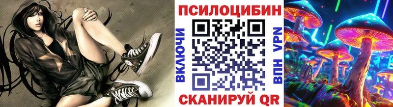 Галлюциногенные грибы Psilocybine cubensis  дарнет шоп  Циолковский 